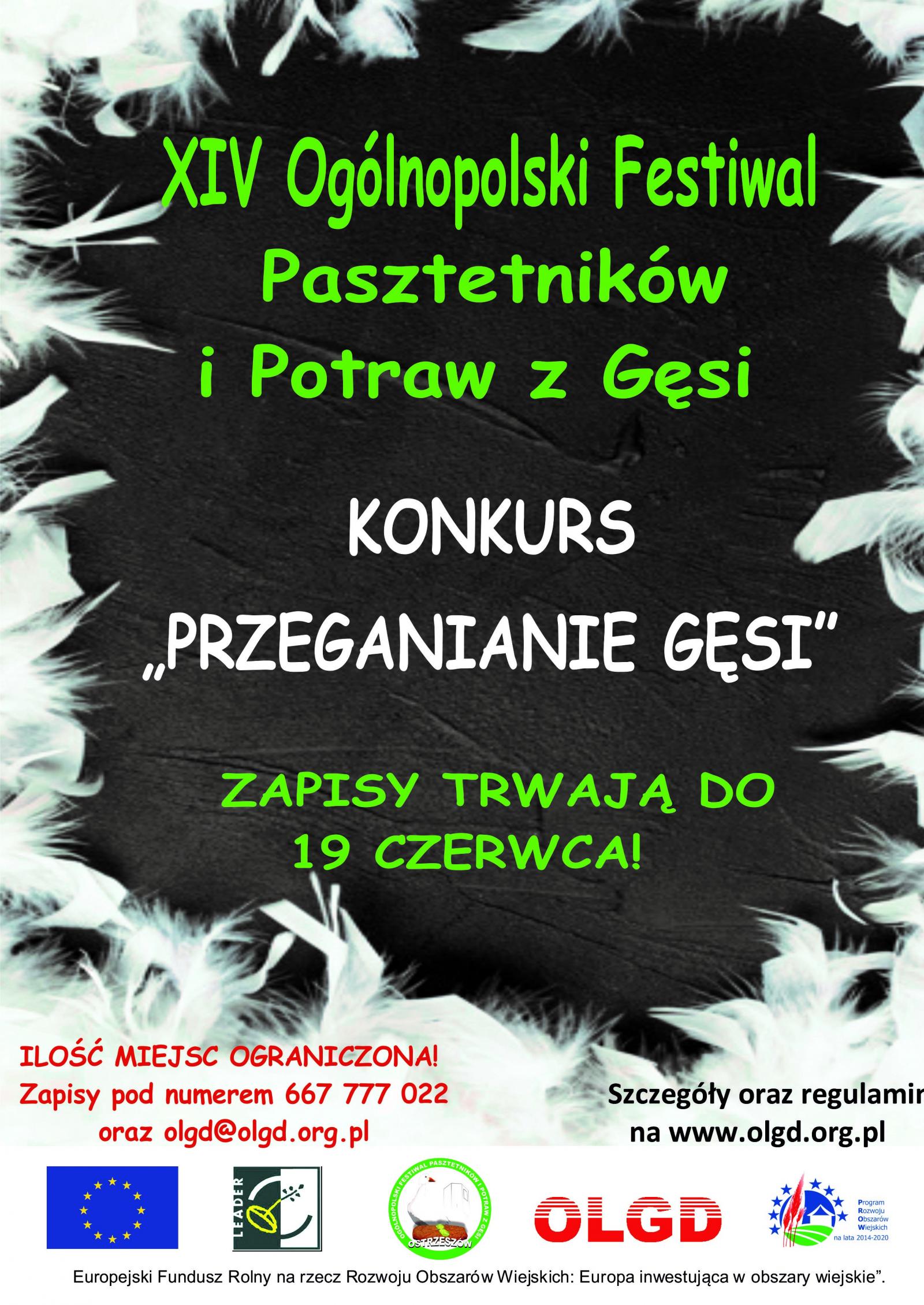 Plakat - konkurs przeganianie gęsi